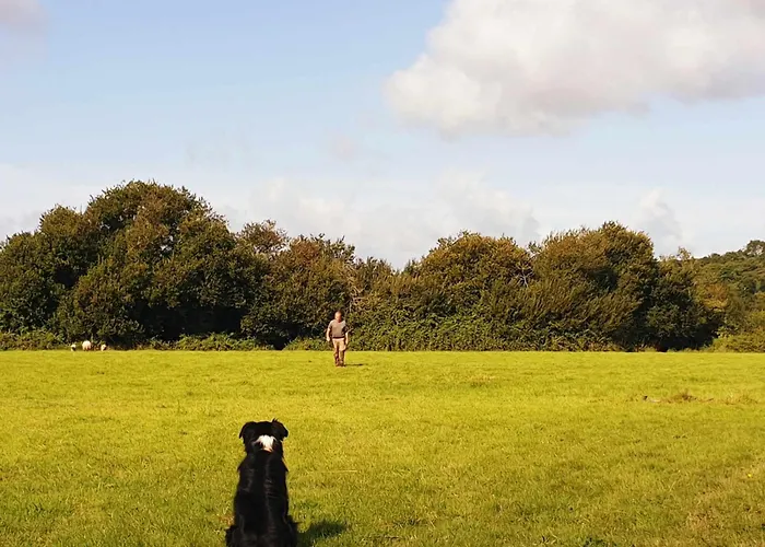 Le Du Clos Giot Homestay